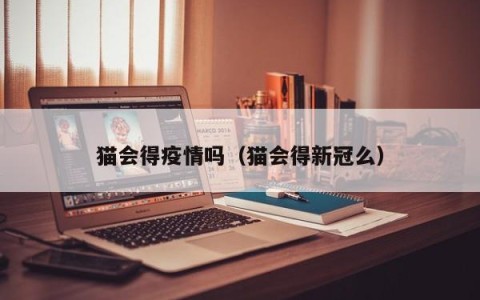 猫会得疫情吗（猫会得新冠么）
